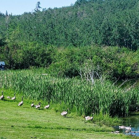 Duck Lake Lodge Babb Екстер'єр фото
