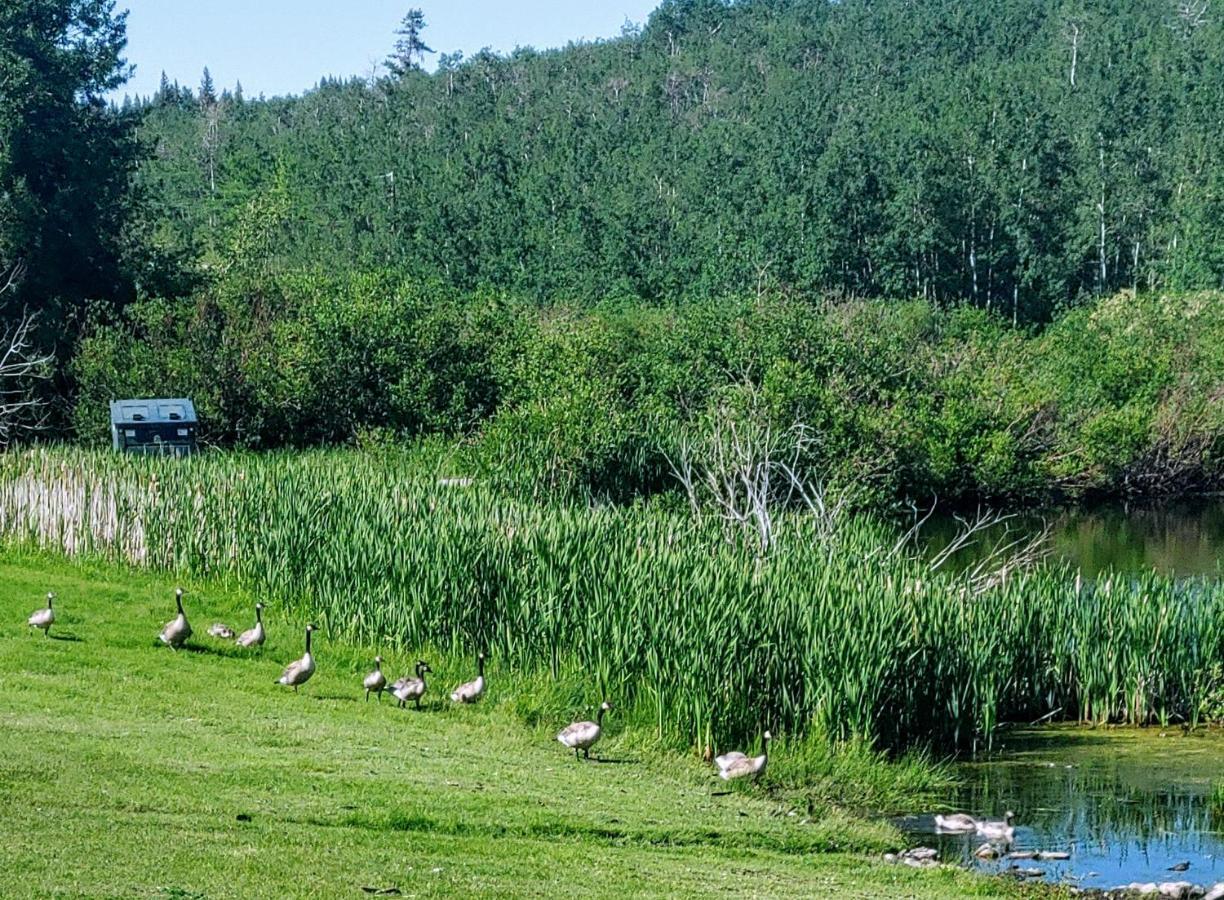 Duck Lake Lodge Babb Екстер'єр фото