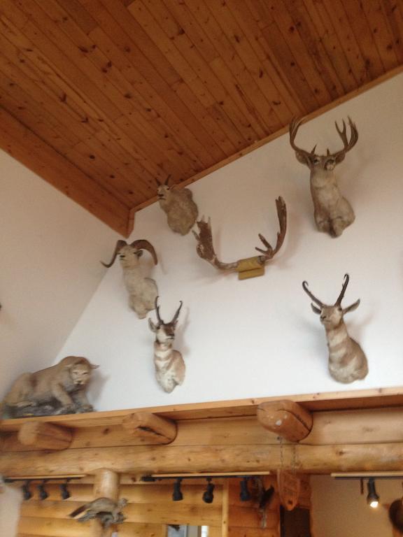 Duck Lake Lodge Babb Екстер'єр фото
